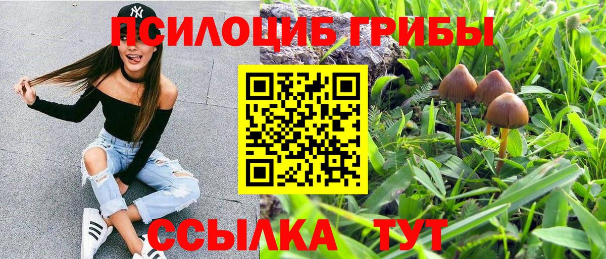 Галлюциногенные грибы MAGIC MUSHROOMS Бирск